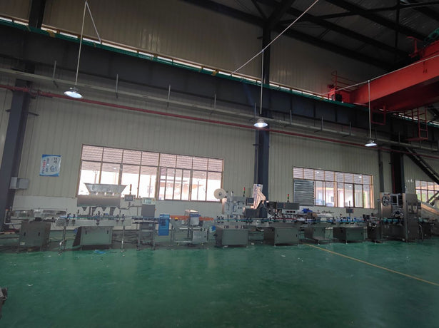 Understanding Packaging Line Integration: A Complete Guide to Building Efficient End-to-End Automation Systems