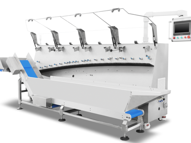 AI-Powered Unordered Sorting Systems: Revolutionizing Multi-SKU Packaging Operations in 2026
