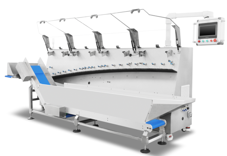 Automated Bag Sorting Machine: Servo-Driven Technology for 2025 ...
