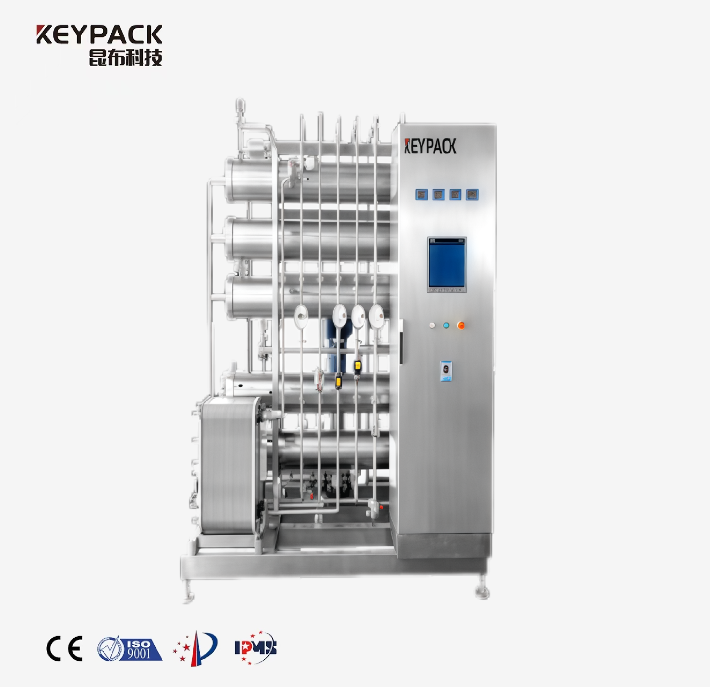Purified Water System Pharmaceutical Water Treatment Equipment Keypack Intelligent