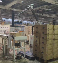 Kunbupack Automatic Palletizer