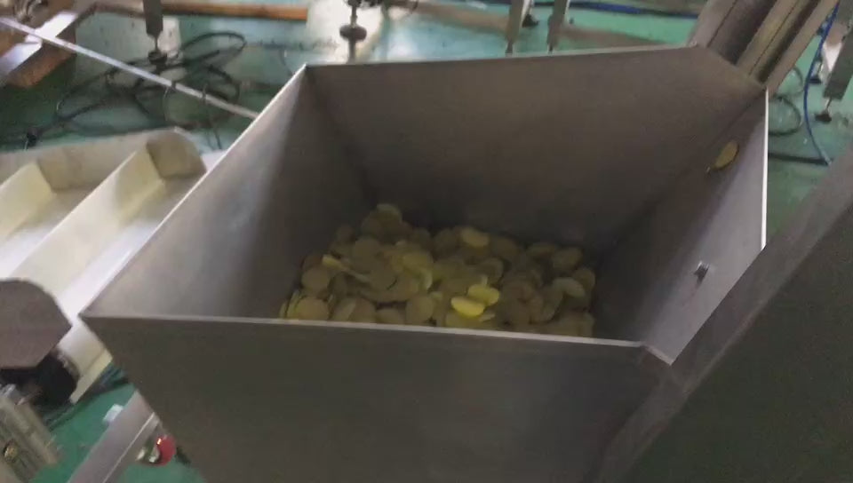 Inclined single bucket elevator feeding demo — combined with all-in-one VFFS packaging machine for granule food conveying and packaging line.