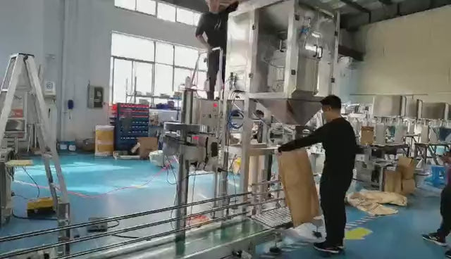 Granule bag filler in operation: servo lifting, dual feeding modes, 10-50kg capacity, ±0.2% precision for rice, pet food, sugar, and fertilizer packaging applications.