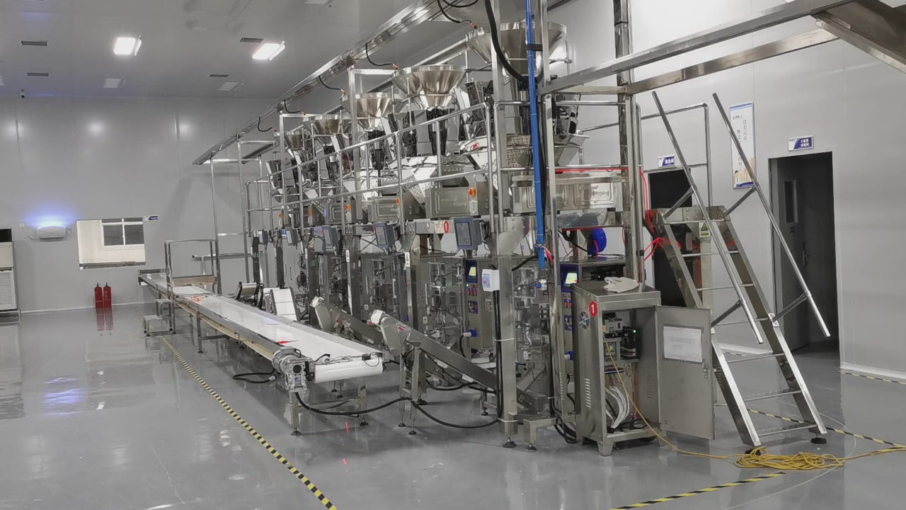 Steeply Inclined Belt Conveyor - Auxiliary Transport for Large Granule & Frozen Products