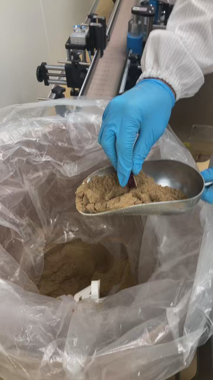 Pipeline Metal Detector