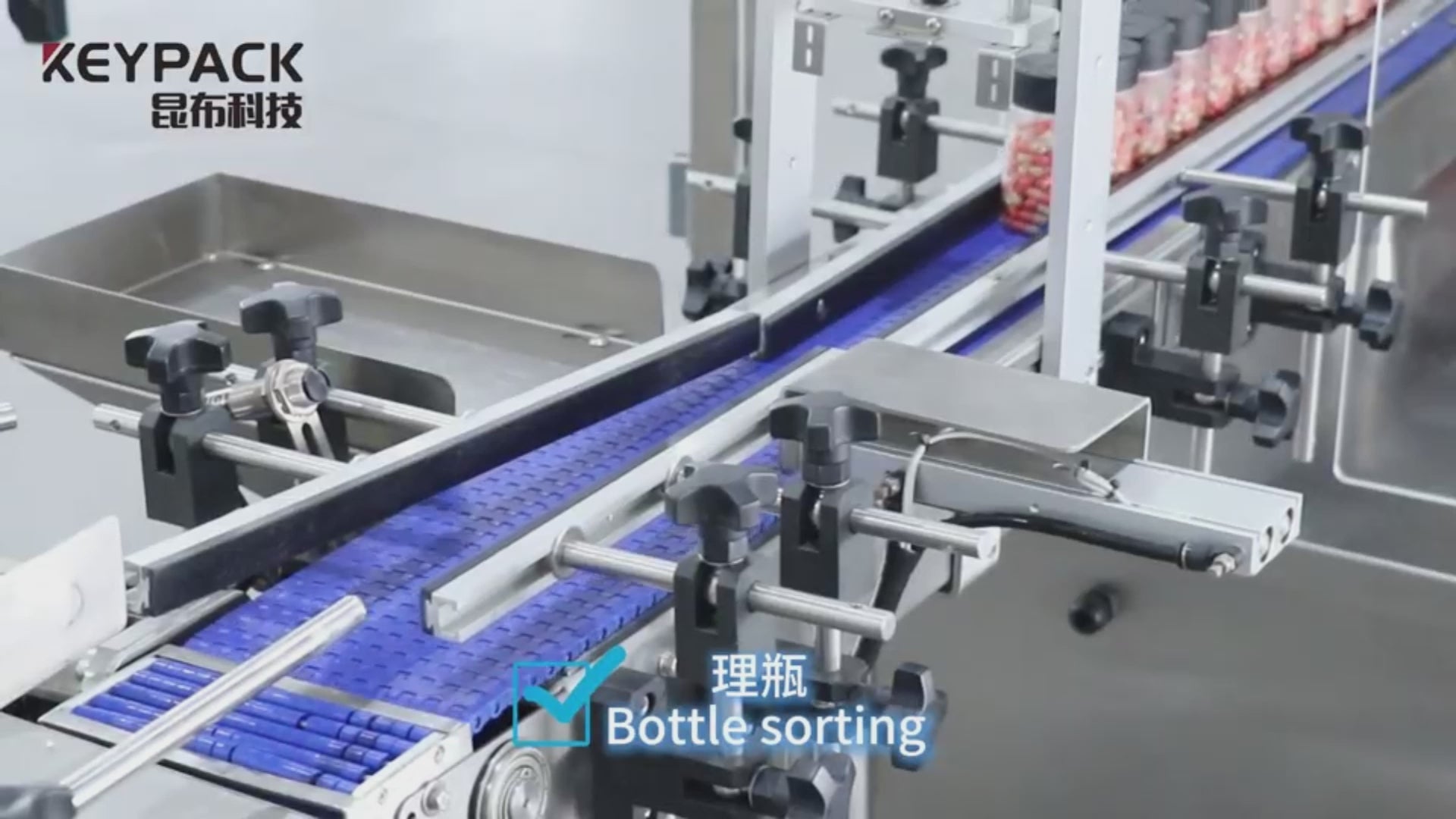 Automatic unscrambler bottle machine rotary turntable orienting plastic bottles at 60-80 per minute with GMP stainless steel construction for food beverage and pharmaceutical bottling line feeding.